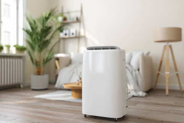 Best Furnace Cleaning in Loudoun Lley Estates, VA
